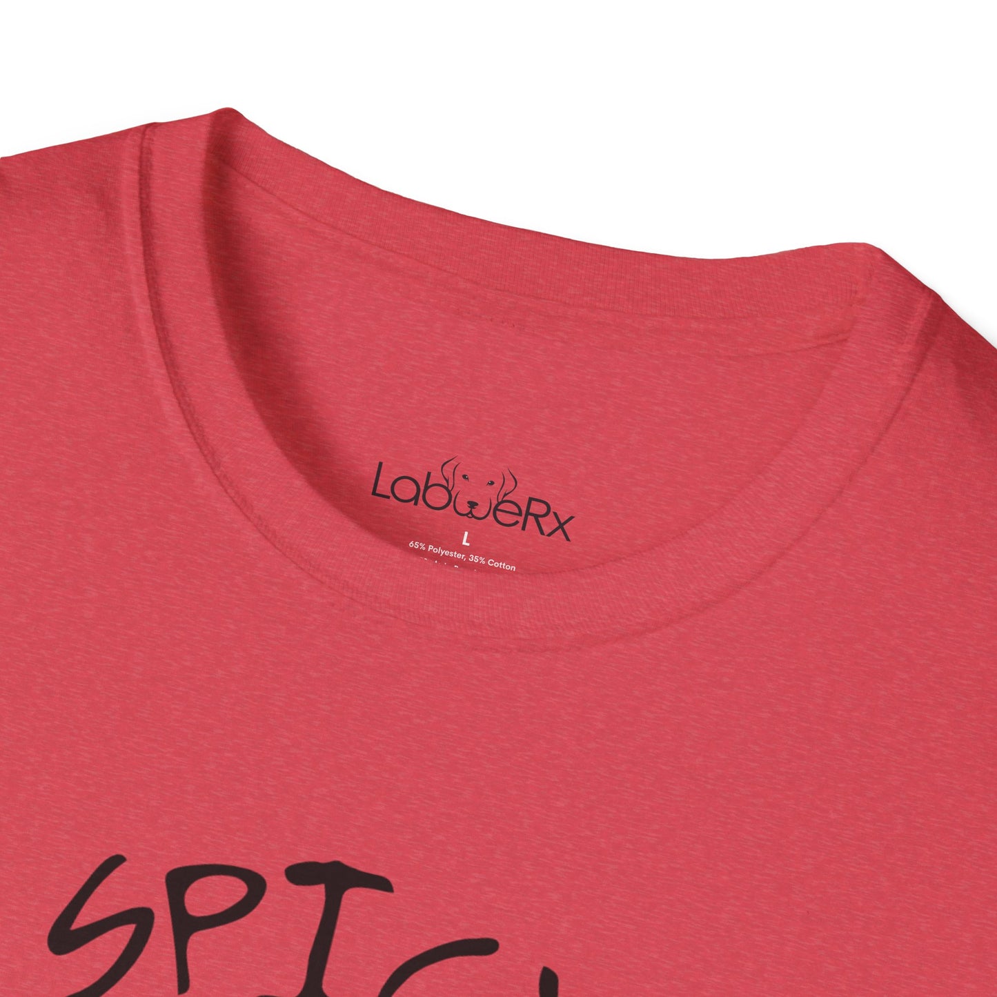 SPICY CONTENT Competition Team T-Shirt
